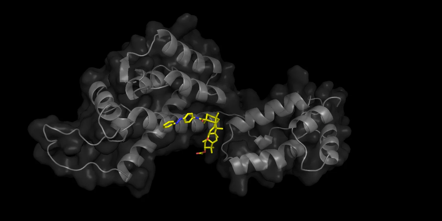 Complexe protéine-ligand - criblage virtuel GenoLabGab (PyMOL)